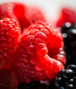 Close-up of wet red berries