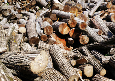 Full frame shot of logs in forest