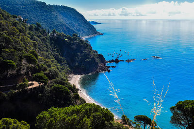 High angle view of sea against blue sky