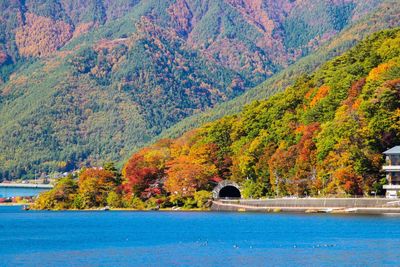 Pond with trees in background