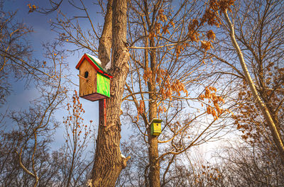 Low angle view of birdhouse on tree against sky