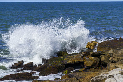 Waves splashing on rocks at shore