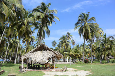 Palm trees on beach against sky