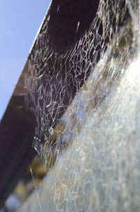 Close-up of spider on web against sky