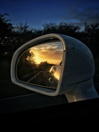 Reflection of trees in side-view mirror