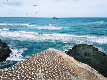 Scenic view of seascape against sky