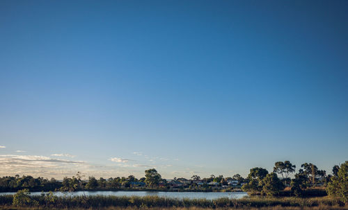 Scenic view of field against clear blue sky