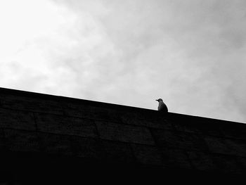 Low angle view of bird perching on wall against cloudy sky