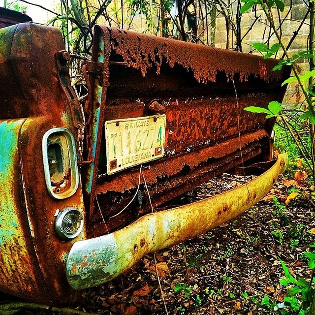 abandoned, transportation, land vehicle, mode of transport, car, old, obsolete, damaged, deterioration, plant, run-down, rusty, grass, outdoors, day, tree, no people, sunlight, stationary, field