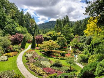 Scenic view of garden by trees against sky