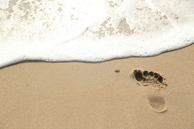 High angle view of footprints on sand at beach