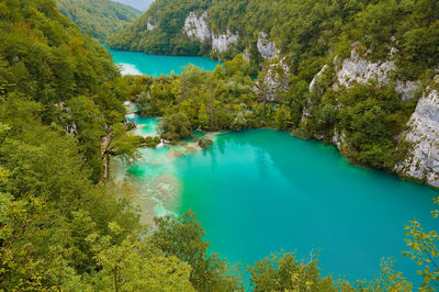 High angle view of lake amidst trees