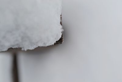 Close-up of snow