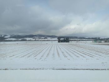 Tire tracks on snow covered land