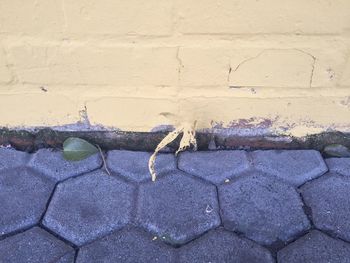 High angle view of fallen leaf on footpath by yellow wall