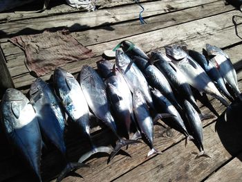 High angle view of fish hanging on wood