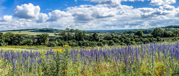 Scenic view of field against cloudy sky