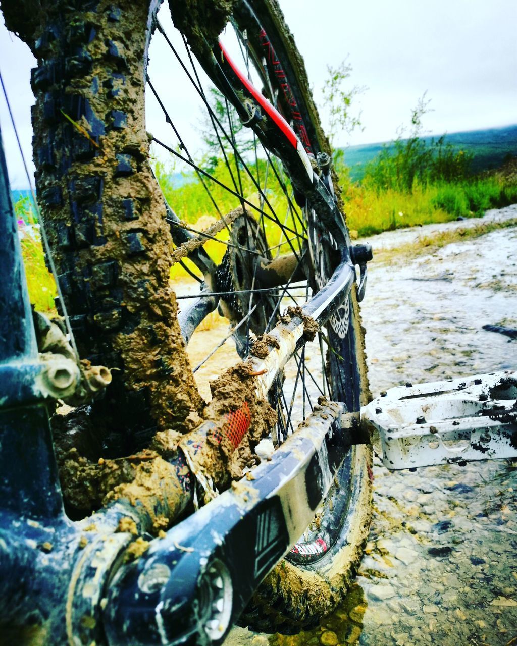 CLOSE-UP OF BICYCLE ON GRASS