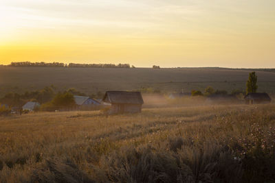 Scenic view of agricultural field against sky during sunset