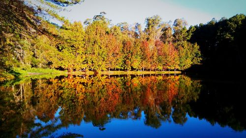 Reflection of trees in lake against sky during autumn