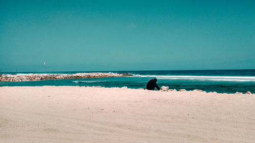 Man sitting on beach by sea against sky