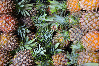 High angle view of fruits growing in market