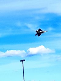 Low angle view of seagull flying