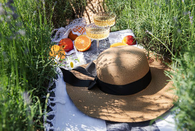 Summer picnic on a lavender field with champagne glasses and fruits