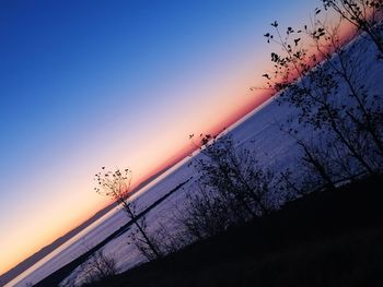 Silhouette of birds flying against sky during sunset