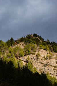 Low angle view of trees on mountain against sky