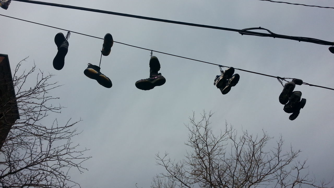 LOW ANGLE VIEW OF SWING HANGING ON TREE AGAINST SKY