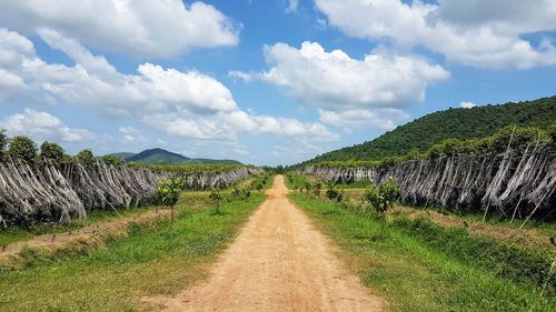 Scenic view of road amidst field against sky