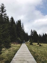 People walking on footpath amidst trees against sky
