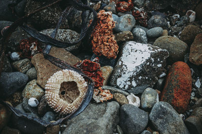 High angle view of stones