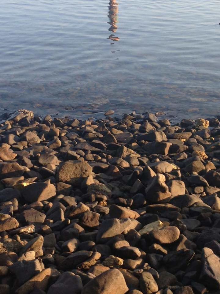 VIEW OF CALM LAKE