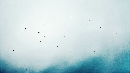 Low angle view of birds flying in sky