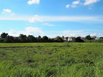 Scenic view of field against sky