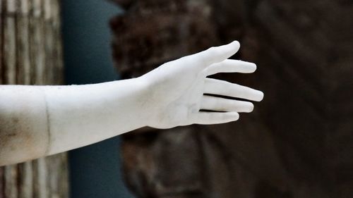 Close-up of mannequin hand