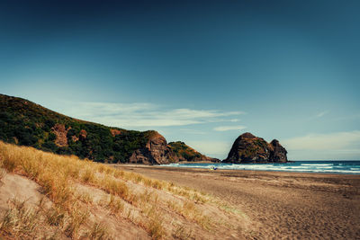 The lovely piha beach around the famous lion rock, new zealand