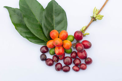 Close-up of apples in container against white background