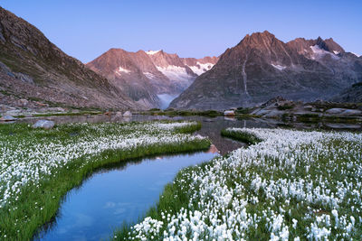 Scenic view of lake and mountains against clear sky