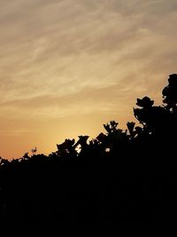 Low angle view of silhouette trees against sky during sunset