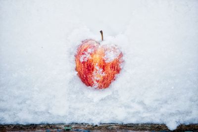 Directly above shot of apple on snow