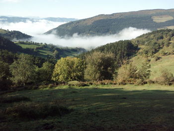 Idyllic shot of landscape in foggy weather against sky