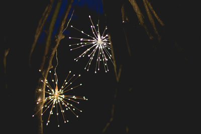 Low angle view of firework display at night