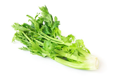 Close-up of vegetables against white background