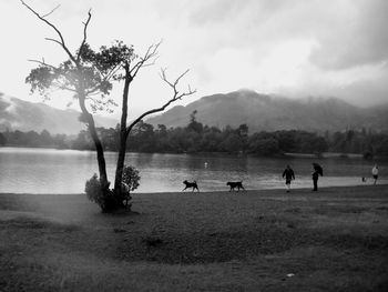 People on field by mountain against sky