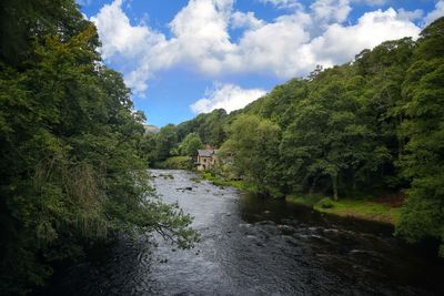 Scenic view of river amidst trees in forest against sky