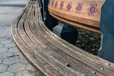 High angle view of empty long curving bench in park with an acorn