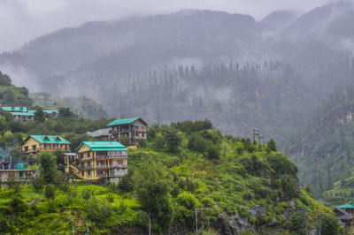 Panoramic view of trees and buildings in forest